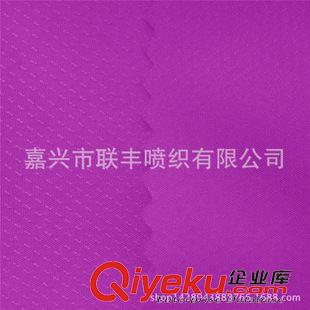 提花 專業(yè)生產(chǎn) 300T消光提花春亞紡流星點 兒童羽絨服棉服等服裝面料原始圖片3
