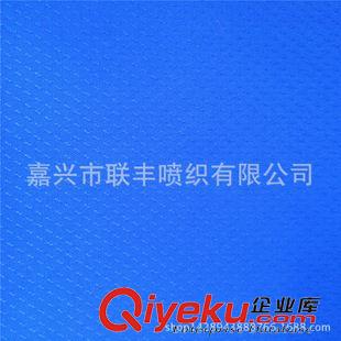 提花 紡織廠供應  240T半光春亞紡提花布流星點 戶外沖鋒衣褲運動面料原始圖片2