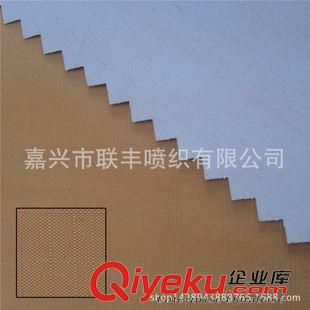 半彈 廠家優(yōu)質(zhì)供應(yīng) 半彈亂格涂白發(fā)泡 男裝夾克時(shí)尚羽絨服面料原始圖片2