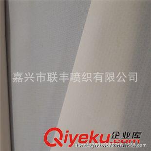 服裝面料 供應 尼龍消光塔絲隆提花 戶外滑雪服防寒服等面料 透氣防風防水原始圖片3