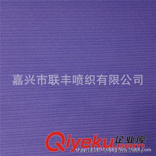 未分類 廠家直銷  320T消光春亞紡提花豎條 戶外沖鋒衣運動服裝面料原始圖片3