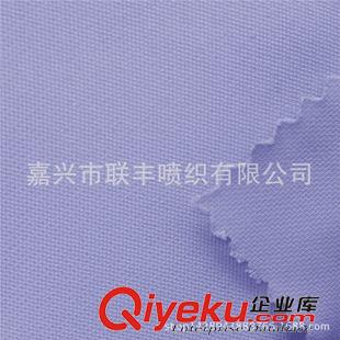 未分類 260T消光斜紋春亞紡變化斜  戶外羽絨服厚外套運動服裝面料原始圖片3
