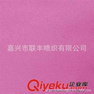 未分類 直銷 300T春亞紡提花消光變化斜 戶外運動沖鋒衣褲服裝面料原始圖片2