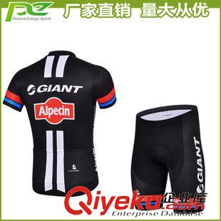 短袖套裝 現(xiàn)貨供應2015夏季款短袖戶外自行車騎行服 套裝 男女款 條淪萊卡原始圖片3
