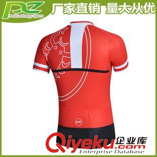 短袖套裝 定做騎行服  騎行服套裝 15年環(huán)法騎行速干衣 自行車騎行服原始圖片2