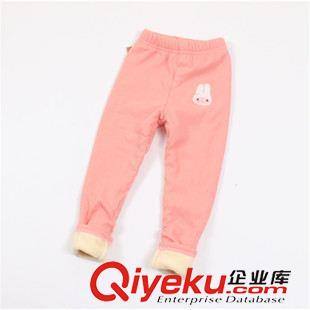 加絨童褲 外貿(mào)童裝批發(fā) 韓版純棉卡通兔童褲 女童暖倍兒絨打底褲 秋冬新款原始圖片2