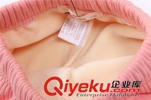 加絨童褲 外貿(mào)童裝批發(fā) 韓版純棉卡通兔童褲 女童暖倍兒絨打底褲 秋冬新款原始圖片3