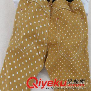 2015秋款新品 韓版童裝批發(fā) C家外貿(mào)原單童褲 秋冬新款 點(diǎn)點(diǎn)純棉長(zhǎng)褲原始圖片2