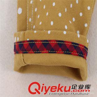 2015秋款新品 韓版童裝批發(fā) C家外貿(mào)原單童褲 秋冬新款 點(diǎn)點(diǎn)純棉長(zhǎng)褲原始圖片3