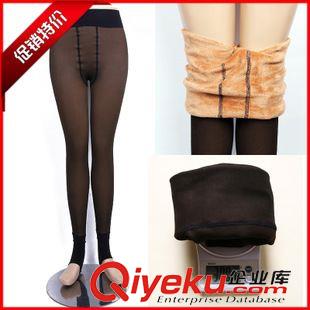 冬款加絨 廠家直銷秋冬新款黃金絨打底褲 女士修身加絨加厚一體褲淘寶熱賣