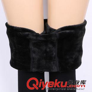 冬款加絨 2015秋冬修身百搭女士加絨修身踩腳褲納米打底褲廠家一件批發(fā)原始圖片3