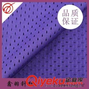 服裝里料 廠家直銷YH-B189滌綸長(zhǎng)絲網(wǎng)布 運(yùn)動(dòng)服網(wǎng)布原始圖片2