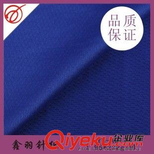 健康布 鳥(niǎo)眼布  廠家供應(yīng)大健康布 滌綸網(wǎng)眼布 熱轉(zhuǎn)印緯編針織面料 運(yùn)動(dòng)服布料原始圖片2