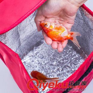 其它戶外用品 保溫包 便當包 冰包原始圖片3