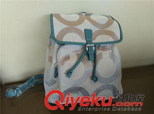 5月新品3 外貿女孩單肩斜跨多功能水桶型牛皮包包