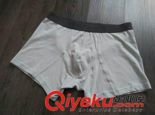男士內(nèi)褲 外貿(mào)男士 精梳棉純棉平角內(nèi)褲貼身內(nèi)褲
