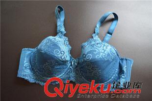 女士內(nèi)褲 文胸 外貿(mào) 原單 黛家蕾絲文胸 性感文胸批發(fā)原始圖片2