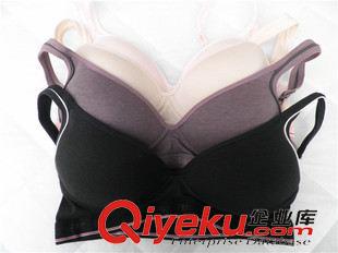 女士內褲 文胸 外貿 dp余料加工 純棉無鋼圈女士文胸 運動文胸 肩帶可調