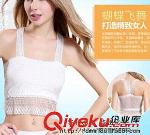 情之逸 超值批發(fā)夏季純棉工字背心 情之逸372針織女休閑吊帶小背心