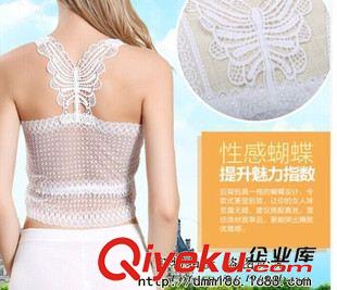 情之逸 2015夏新款后背蝴蝶結防走光打底蕾絲裹胸抹胸內衣吊帶女原始圖片2