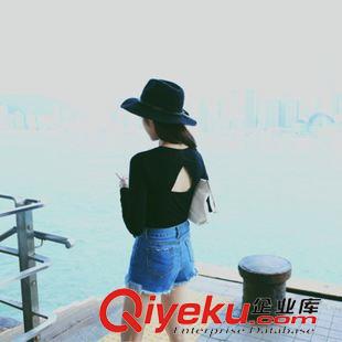 8月14號新款發(fā)布 2015秋季新款簡約薄款半透針織衫圓領(lǐng)百搭長袖線衫 Q605