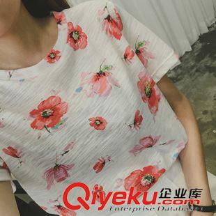 T恤 2015韓國花朵t恤竹節(jié)棉短袖圓領(lǐng)百搭寬松t恤女夏 B10原始圖片2