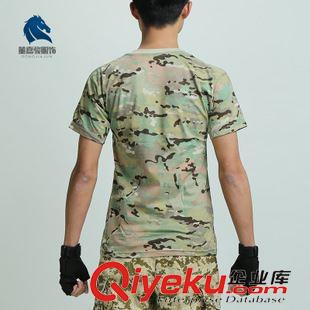 軍訓(xùn)系列 董嘉駿春夏男裝戶外軍迷裝備軍裝迷彩休閑短袖男式T恤 廠家批發(fā)