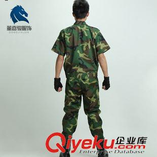 軍訓系列 董嘉駿 zp軍訓叢林迷彩套裝 加厚加固軍訓迷彩服批發(fā) 正33