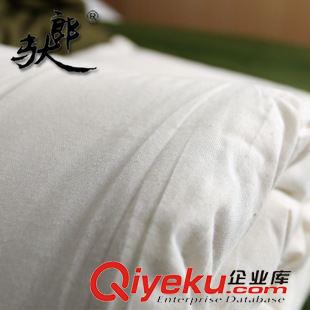精品床墊 白色床墊 褥子 學(xué)生單雙人軍訓(xùn)床墊 0.9X2M墊被 zp陸空墊被原始圖片2