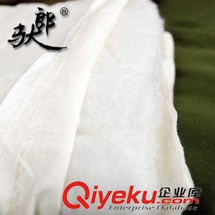精品床墊 白色床墊 褥子 學(xué)生單雙人軍訓(xùn)床墊 0.9X2M墊被 zp陸空墊被原始圖片3