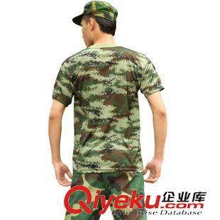 軍訓T恤 馱郎軍訓t恤短袖迷彩服軍訓服裝學生軍訓迷彩服軍迷T恤廠價批發(fā)原始圖片2