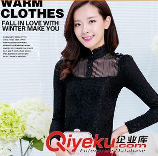 中端女裝秋冬雪紡蕾絲衫 阿里巴巴批發(fā)網(wǎng)女秋冬新加厚上衣立領(lǐng)蕾絲拼接打底長(zhǎng)袖衫8-11原始圖片2