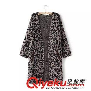 20號(hào)新款 ND00921    2015秋新款歐美風(fēng)時(shí)尚款雙口袋長(zhǎng)款豹紋毛衣  女原始圖片2