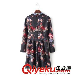 27號新款 AFE8727     15新款歐美風(fēng)時尚印花翻領(lǐng)長袖女式連衣裙原始圖片2