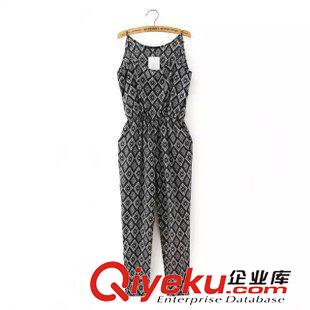 18號(hào)新款 D2D0617     15新款歐美風(fēng)時(shí)尚印花圓領(lǐng)無(wú)袖松緊腰吊帶連體長(zhǎng)褲女原始圖片3