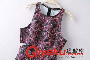 9號(hào)新款 SQD5509    15新款歐美風(fēng)數(shù)碼印花兩側(cè)露腰圓領(lǐng)無(wú)袖背心連衣裙女原始圖片3