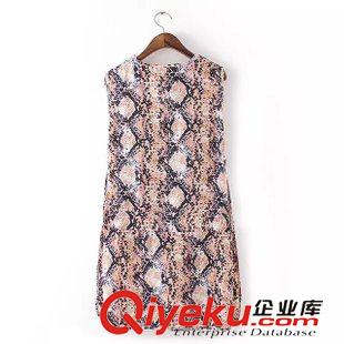 25號新款 AD1D5527    2015新款歐美風蛇紋圖案圓領無袖背心連衣裙 女原始圖片2