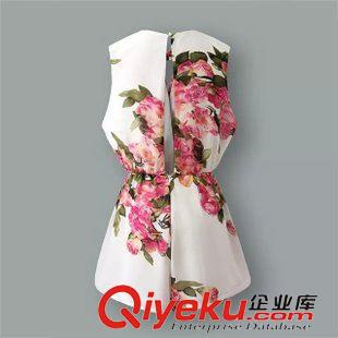23號新款 JIUC8526     2015新款歐美風印花圓領露背露胸交叉連體短褲 女原始圖片3