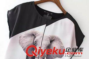 7號新款 AC0507   2015夏季新款歐美時尚圓領(lǐng)短袖大象印花休閑寬松女式T恤原始圖片3