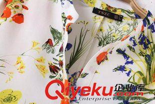 17號新款 AD2C50418    2015夏新款歐美ZA不規(guī)則印花立領長袖襯衫 女襯衣原始圖片3