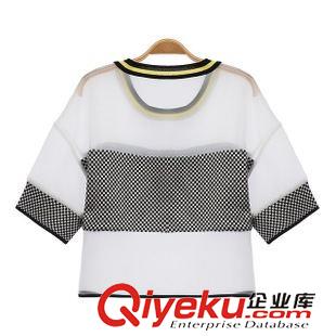 17號新款 CC2E0417   15新款歐美風人物格子圖案圓領中袖寬松女式T恤原始圖片2
