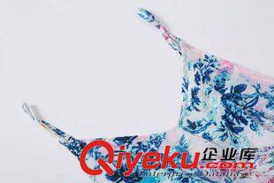 18號(hào)新款 BC2D0418    2015新款歐美時(shí)尚印花下擺不規(guī)則側(cè)開叉吊帶連衣裙原始圖片3