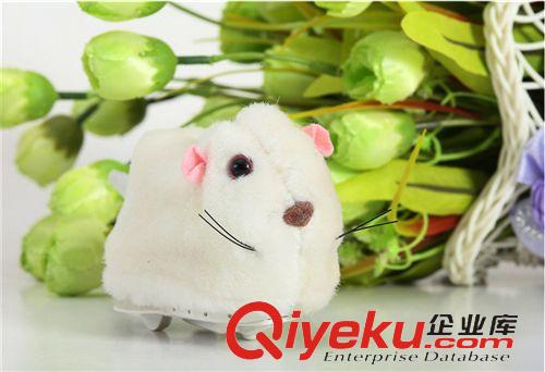 毛絨玩具 最可愛會(huì)走路的滾動(dòng)小倉鼠電動(dòng)玩具 熱賣貨源生產(chǎn)廠家原始圖片2