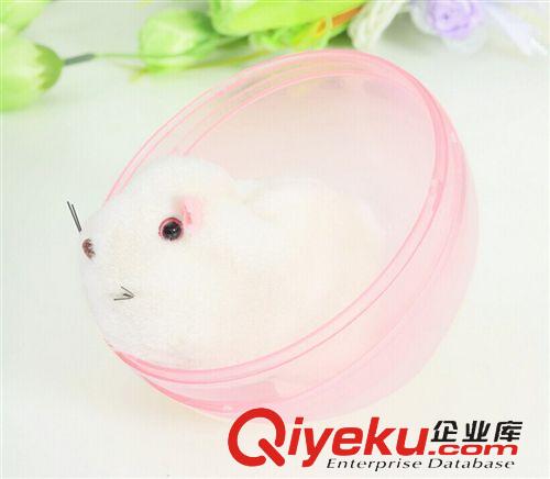 毛絨玩具 最可愛會(huì)走路的滾動(dòng)小倉鼠電動(dòng)玩具 熱賣貨源生產(chǎn)廠家原始圖片3
