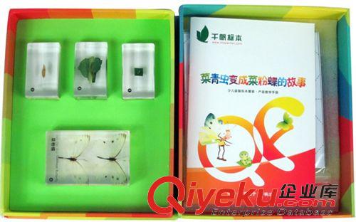 教學(xué)標(biāo)本系列 中小學(xué)科普教學(xué)實(shí)物標(biāo)本 千凡正品會(huì)保護(hù)自己的動(dòng)物套裝QF1722