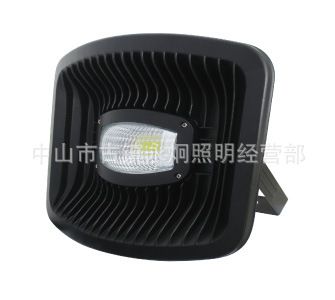 LED工程燈具 廠家供應(yīng)優(yōu)質(zhì)LED投光燈 30WLED燈具 新款 照明燈具批發(fā)