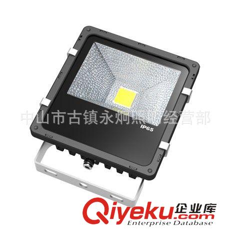 LED工程燈具 廠家供應優質LED投光燈100W 戶外廣告牌LED燈具 照明燈具批發