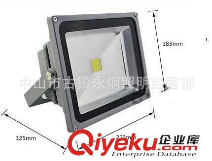 LED工程燈具 廠家供應優質LED廣告牌燈具30W 戶外LED燈具 照明燈具批發原始圖片2