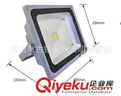 LED工程燈具 廠家供應(yīng)優(yōu)質(zhì)LED50W投光燈 照明燈具批發(fā) 型材LED投光燈