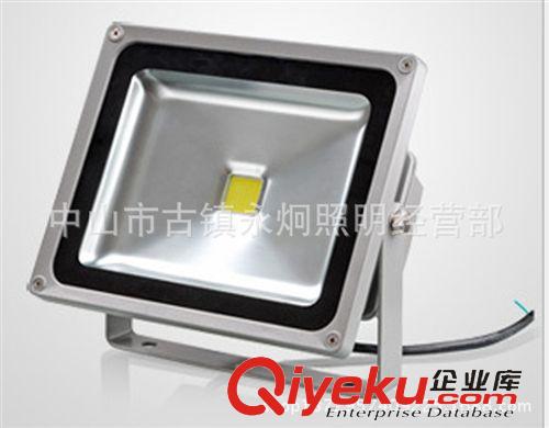 LED工程燈具 廠家供應(yīng)優(yōu)質(zhì)LED投光燈50W 戶外廣告牌LED燈具 照明燈具批發(fā)原始圖片2